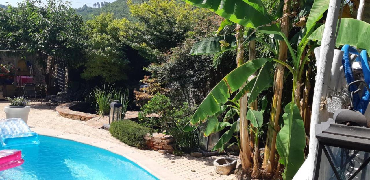 Cevenol Avec Et Piscine Privatifs Saint-Martin-de-Valgalgues